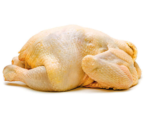POLLO FRESCO ENTERO + DE 1,5KG